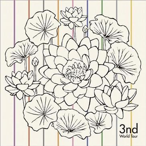 宋佳做爰三级日B
